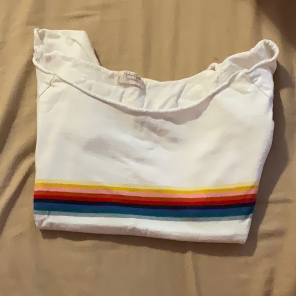 Brandy rainbow cropped top